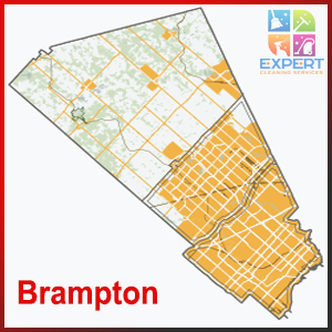 Business_Team_single