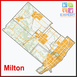 Business_Team_single