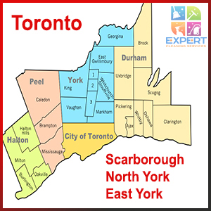 Business_Team_single